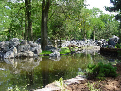zoo